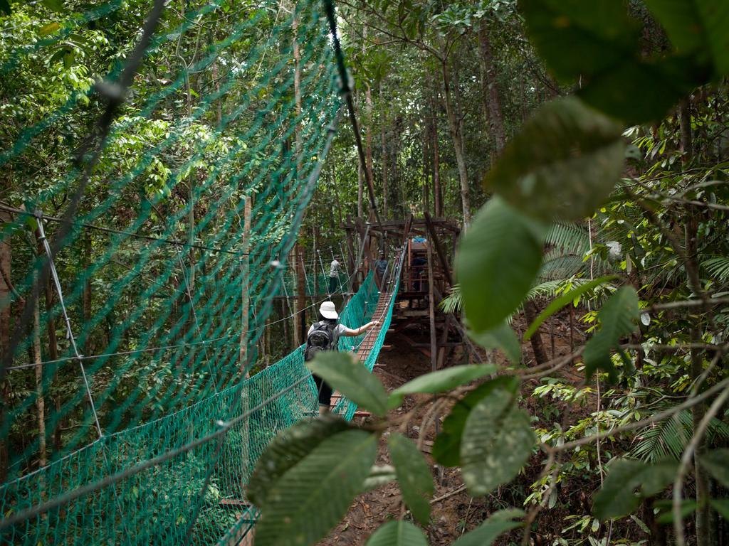 Borneo Tropical Rainforest Resort Miri Εξωτερικό φωτογραφία