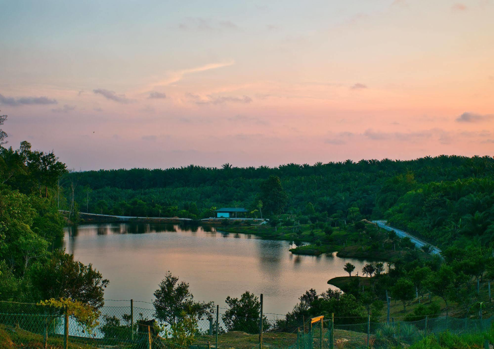 Borneo Tropical Rainforest Resort Miri Εξωτερικό φωτογραφία